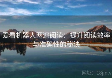 爱看机器人两遍阅读：提升阅读效率与准确性的秘诀