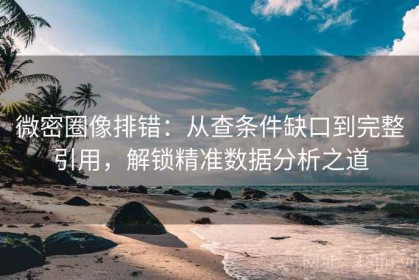 微密圈像排错：从查条件缺口到完整引用，解锁精准数据分析之道