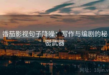 番茄影视句子降噪：写作与编剧的秘密武器